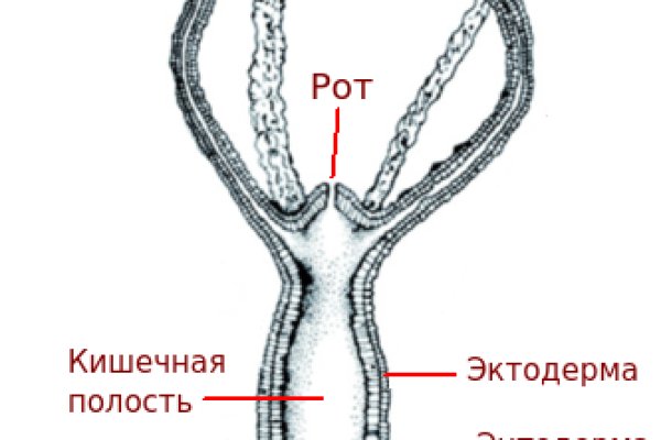 Kraken ссылка krakentor site