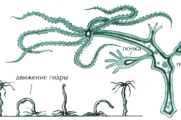 Кракен сс