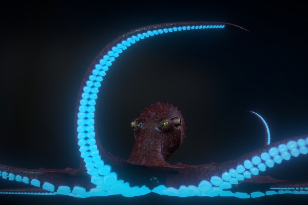 Kraken17 at